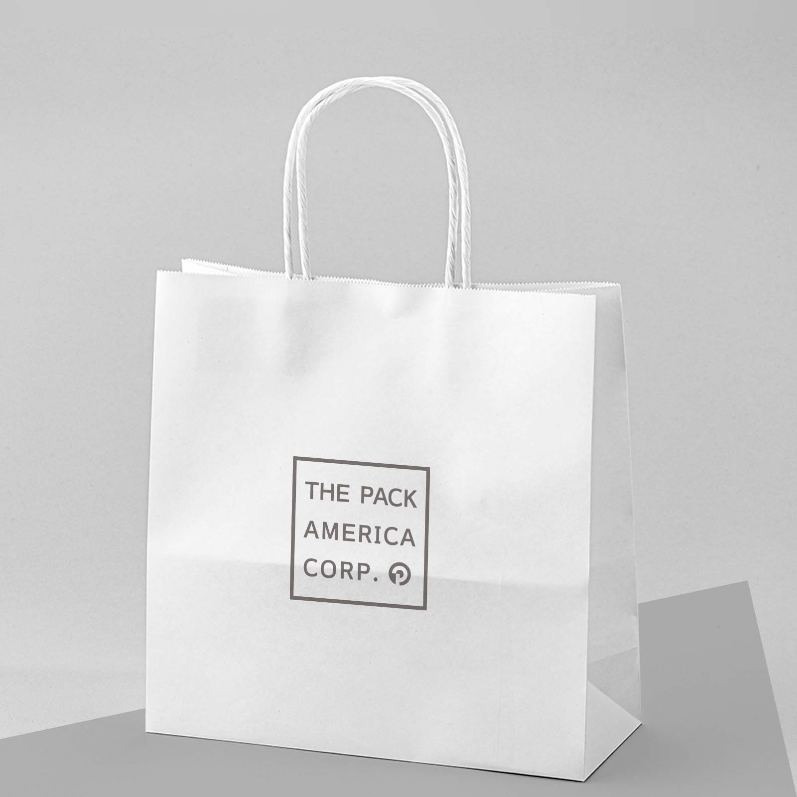 Paper Shopping Bags w/ Twisted Paper Handles