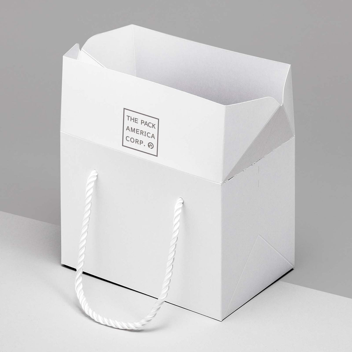 Customized Box Style Paper Bag - Opened View