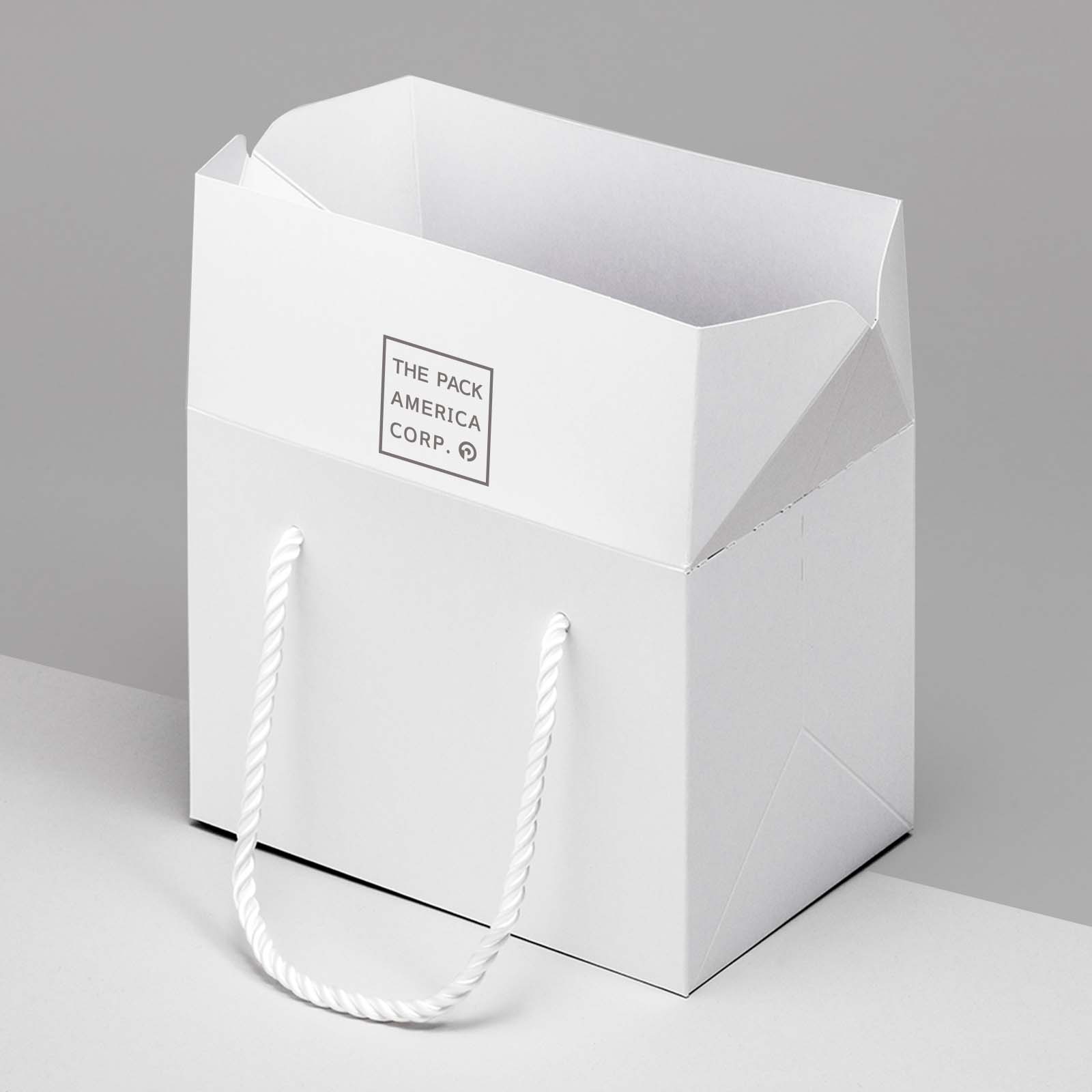 Box Style Paper Bag - Custom Size and Design | The Pack America Corp.
